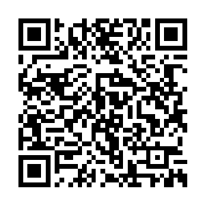 此时这个御史突然站出来提出这个问题倒是相宜二维码生成