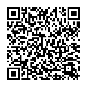 此时这些人惊骇的脸上明显是如刚刚女护士一样的惊恐与慌张害怕了二维码生成