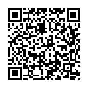 此时这名天涯商会渡劫高手完全就是在俯视夏天二维码生成