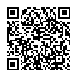此时这铺天盖地的虫黄之力已经足以将夏天彻底的泯灭二维码生成