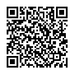 此时这黑瘦怪物嘴巴里面却是咀嚼着一团毛茸茸的东西二维码生成