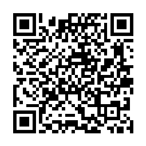 此时遇到同为三宗九派的紫幽派和灵兽山出窍境内门弟子二维码生成