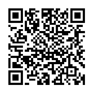 此时道印上面的九个凹槽之中已经凝聚出了九滴乳白色的灵液二维码生成