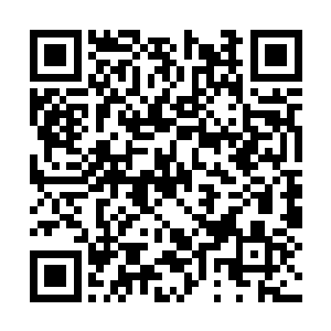 此时那上小太妹竟然已经主动投在了上青年的怀里二维码生成