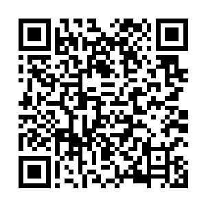 此时那些观看比赛的界之力量第四重之人差点兴奋死了二维码生成