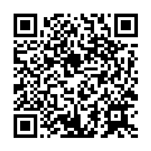 此时那些距离远的修士虽然听不到这里究竟发生了什么二维码生成