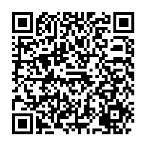 此时那位看起来很有贵族气质的中年男子正拿着手枪指着马里奥的脑袋二维码生成