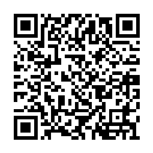 此时那条螭龙已经越过了许紫烟等人躲藏的地方二维码生成