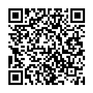 此时那长衫人整个身子已经是彻底的被冷汗给打湿透了二维码生成