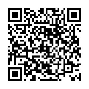 此时部落里不管在做什么的勇士们立刻拿起了武器二维码生成