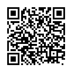 此时郭兰正在电脑前聚精会神地打文件二维码生成