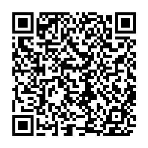 此时金剑门的掌门金子寒还有长老虚剑行正在金剑门在此处的驻地门口驻足张望二维码生成