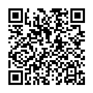 此时陆青和风沁雪几个人的目光也落到了龙傲天的身上二维码生成