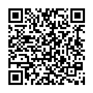 此时顾可可正和桑晓桐一起站在学校的宣传栏前看着海报二维码生成