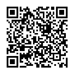 此时龙傲天所有的精力全都落到了虚空之中的大战上面二维码生成