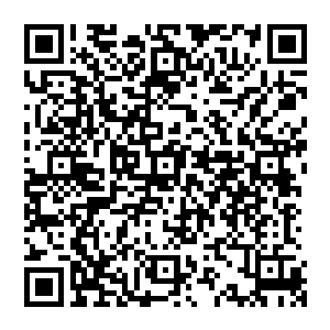 此时龙傲天扫视了一眼众人的修为之后发现他们修为最差的都差不多已经接近了化道后期的程度二维码生成