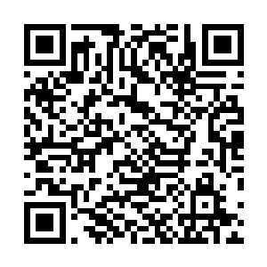 此时龙傲天整个人的身体几乎都已经快要到了崩溃的边缘二维码生成