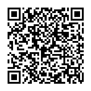 此时龙傲天望向面前的这不到十个人的目光之中也闪过了一抹炽热的光芒二维码生成