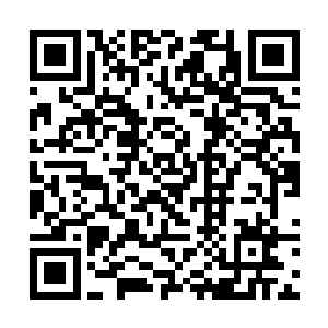 此时龙傲天的体内很多地方经脉都已经断成了好几段二维码生成