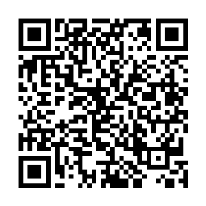 此时龙傲天的体内每一寸地方都充斥着碧绿色的生命精气二维码生成