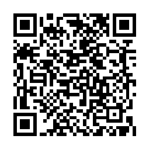 此时龙傲天的杀戮之龙几乎已经成为了一种领域二维码生成