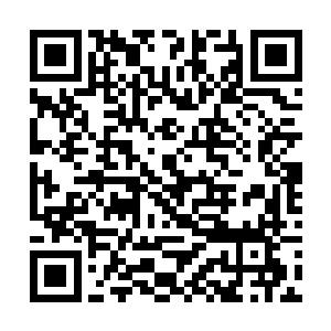 此时龙傲天的目光也落到了漩涡中央的两道身影上面二维码生成