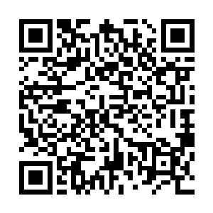此次事件之中君主阁乃是唯一的得利者…所谓的君主阁占利二维码生成