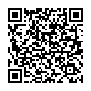 此次共来了两名神王级虎蛟妖王和四名帅级虎蛟妖帅二维码生成