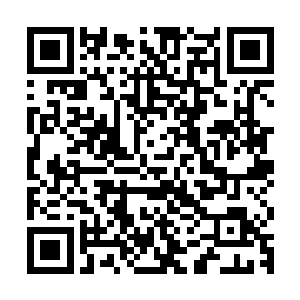 此次城主府还联合整个天墟城中除曹家和天心宗以外的所有势力二维码生成