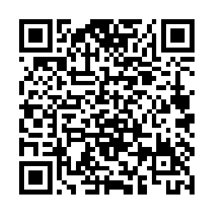 此次曹公公来这葬心谷中……可是为了替皇上来取那二维码生成