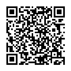 此次的灭龙大会我们有幸请到了梅竹双剑两位女侠二维码生成