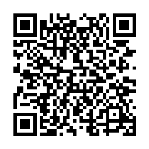 此次的目标乃是灵池古潭之内的那头水妖金眼神猿二维码生成