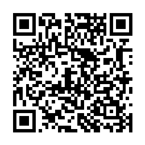 此玄龟甲乃是他在仙灵界斩杀的一头仙灵玄龟所得二维码生成