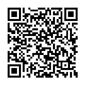 此种本身的级数只怕要高得很离谱很离谱吧……二维码生成
