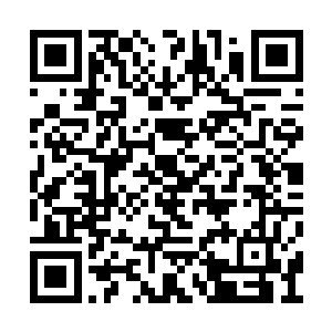 此结界在大乘巅峰修士手中已将威力发挥到极限二维码生成