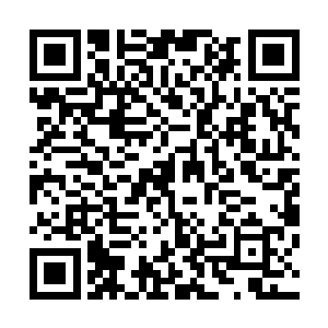 此般手段就算是半步缔造境强者催动而出的神通也不过如此二维码生成