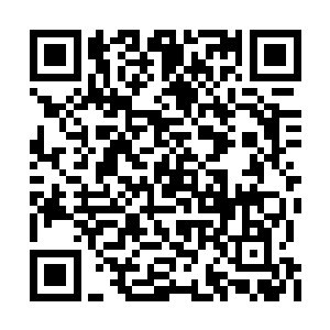 此蛇的出现可以收是出乎所有大乘期妖兽之外的二维码生成