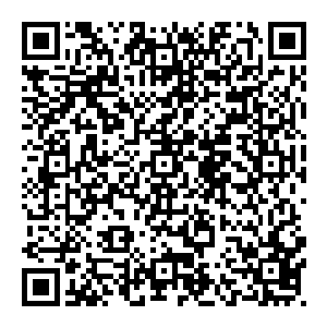 此话一出　归元城城主脸色顿时一变　不过立即就被收敛起來　他原本正欲与他谈说此事　沒想到他却是主动提了出來二维码生成