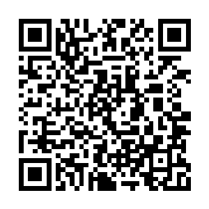 此话一出却是将那一直站在身旁的星老吓了一跳二维码生成