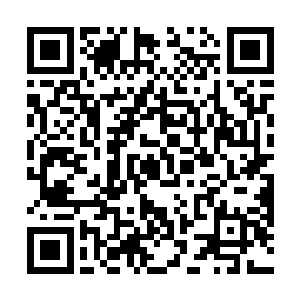 此间的自己却被一个地神初期阶段的小子给踩到了脚下二维码生成