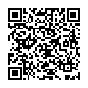此阵还将会吸收整个云梦之境四位始祖所有后人的力量二维码生成