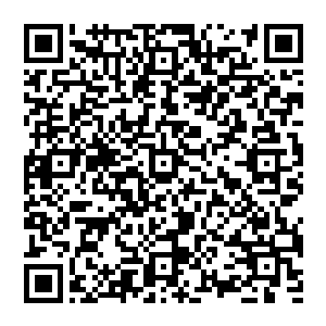 步伐之中隐隐就带着一丝挺拔和优雅的味道――这是一种显然经受过某种职业训练后才会有的姿态二维码生成