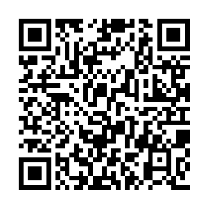 步练师连续发出如此之多的攻击也不由微微喘息二维码生成