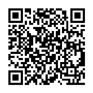 武东也不知道为什么自己会凭空的生出来这样的感觉二维码生成
