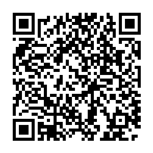 武亲王钱震此时却是在轻轻的抚摸着青梅嗅这把碧绿色的单手锤子二维码生成