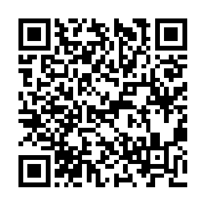 武仁中学那边派出来的是一个叫做上野大雄的男生二维码生成