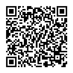 武力档次完全出域内凡间地面战争层级……如果说刚刚军队是给天下人看二维码生成