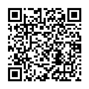 武器和妖兽的皮毛碰撞在一起发出了金铁交戈的声音二维码生成