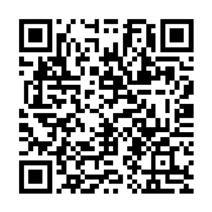 武峰市市长李春阳带着武峰市公安局长梁不凡就在天泉市公安局二维码生成