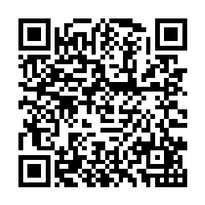 武明宇还真的就把手里面的东西都放置到了袋子当中二维码生成